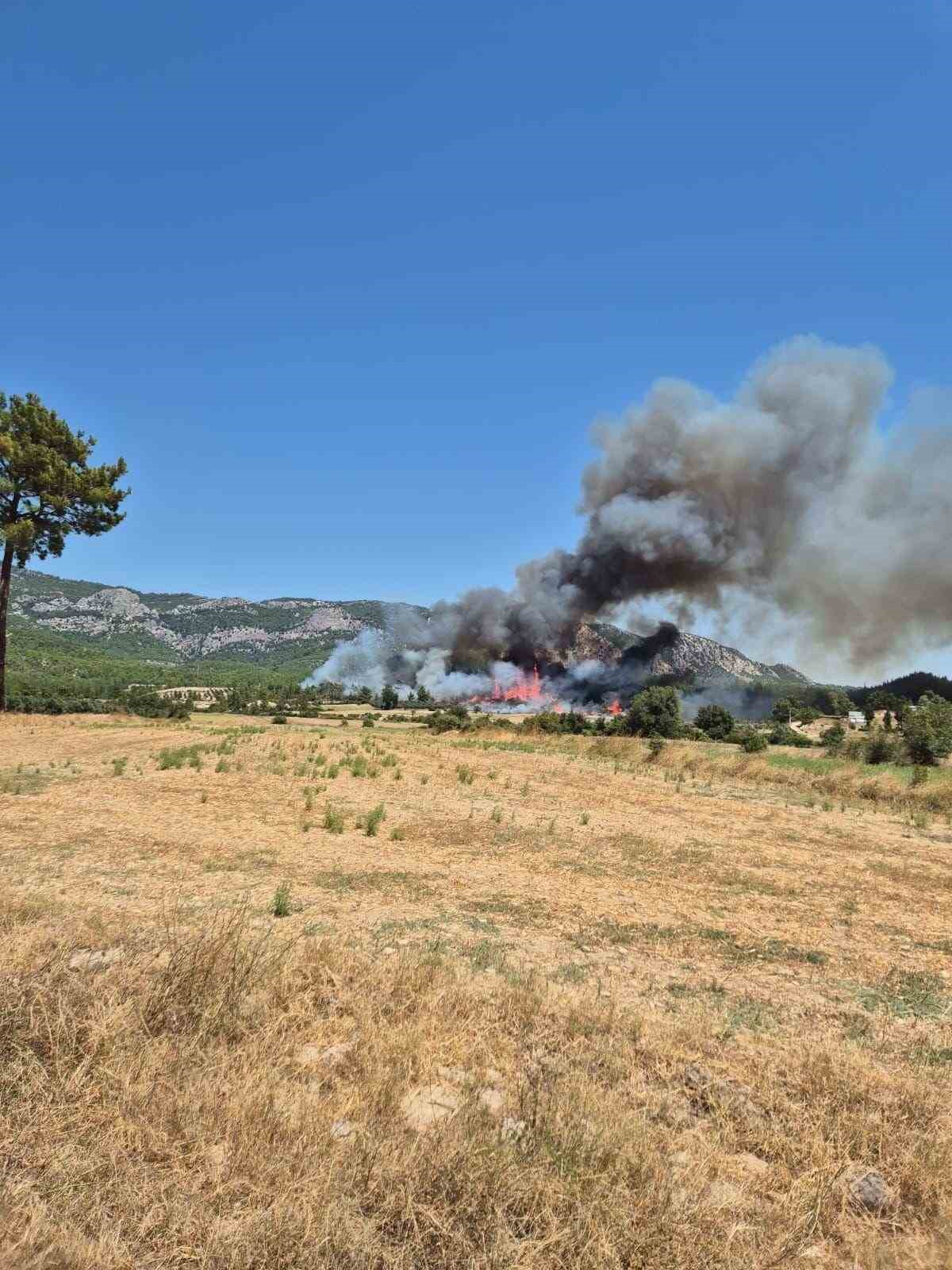 Antalya&rsquo;da 3 ev, 4 ahırın yandığı orman yangınının başladığı an g&uuml;venlik kamerasında
