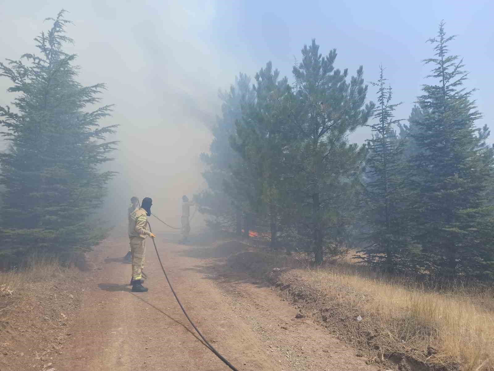 Malatya’da ormanlık alanda yangın