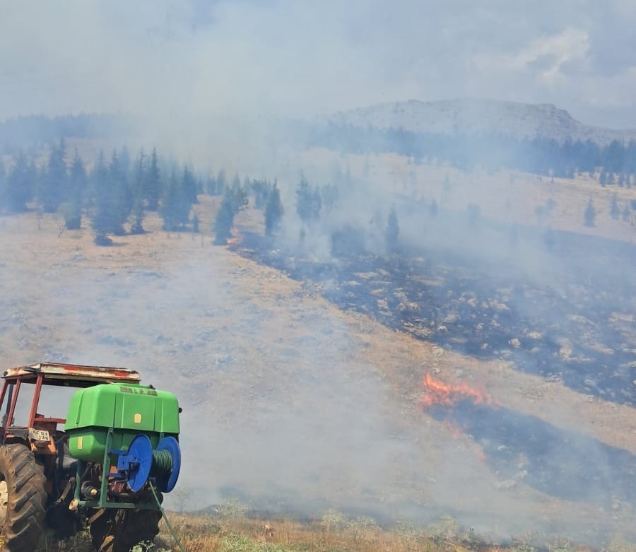Malatya&rsquo;da ormanlık alanda yangın
