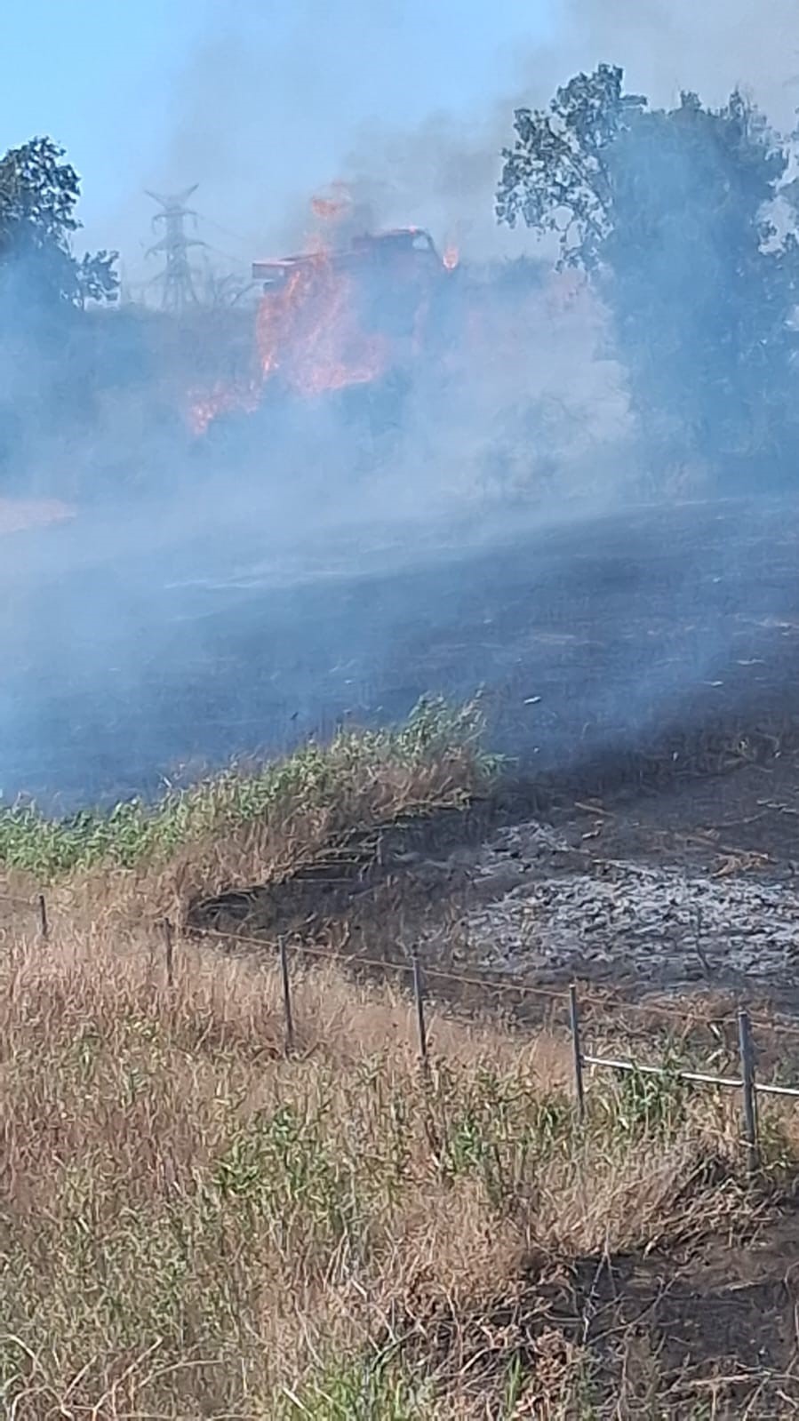 &Ccedil;anakkale&rsquo;de tarım arazisinde yangın
