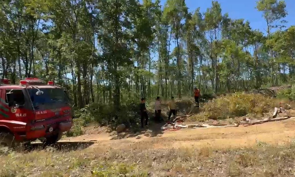 Bilecik&rsquo;te orman yangını b&uuml;y&uuml;meden s&ouml;nd&uuml;r&uuml;ld&uuml;
