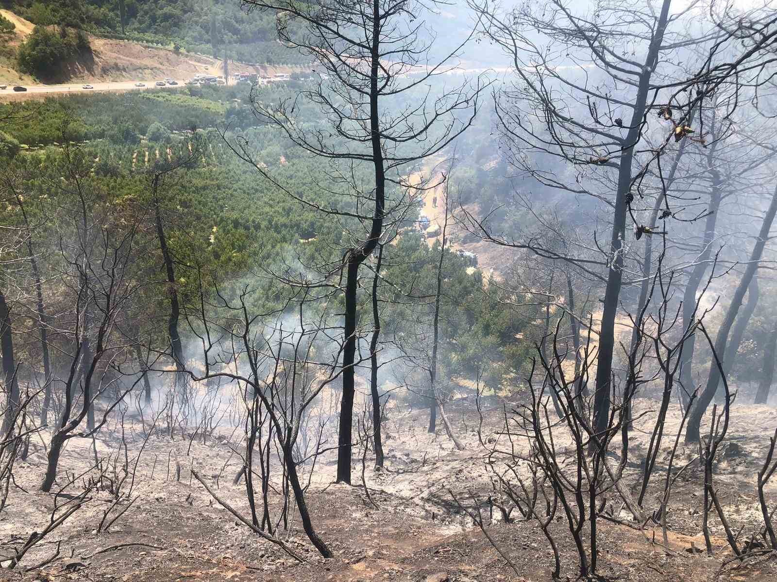 Bilecik’te orman yangını ekipler tarafından söndürüldü