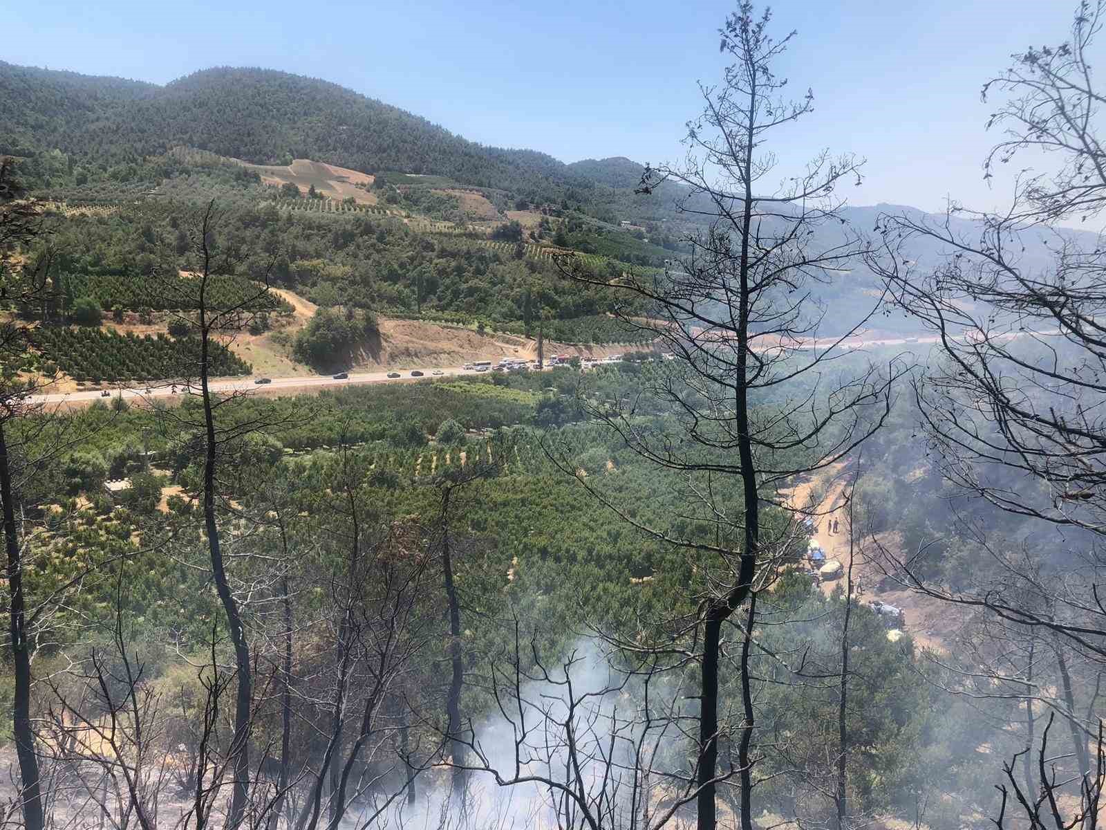 Bilecik’te orman yangını ekipler tarafından söndürüldü