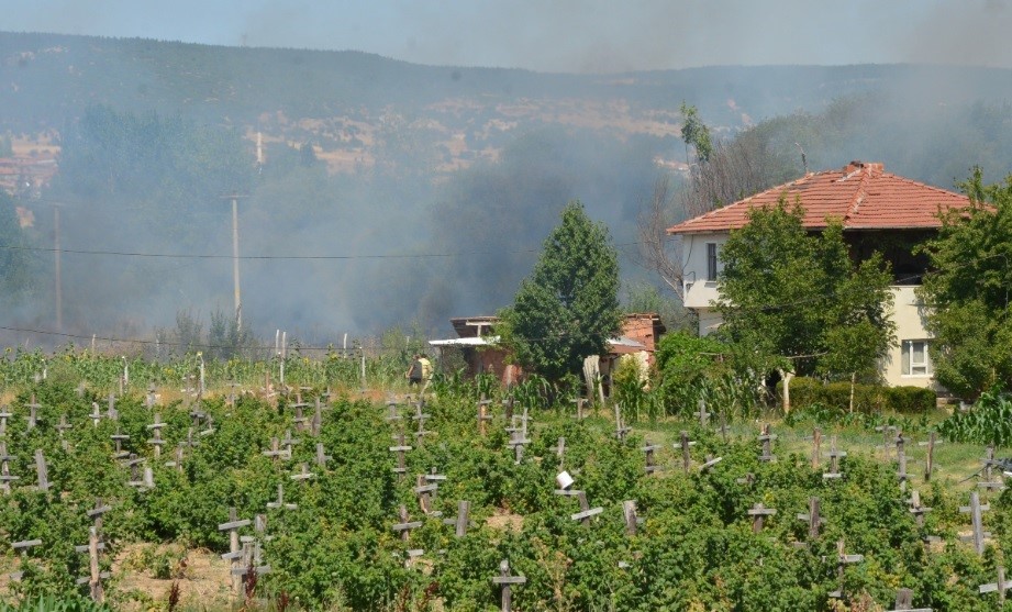 Tunçbilek yolu yakınında çıkan yangın kısa sürede kontrol altına alındı