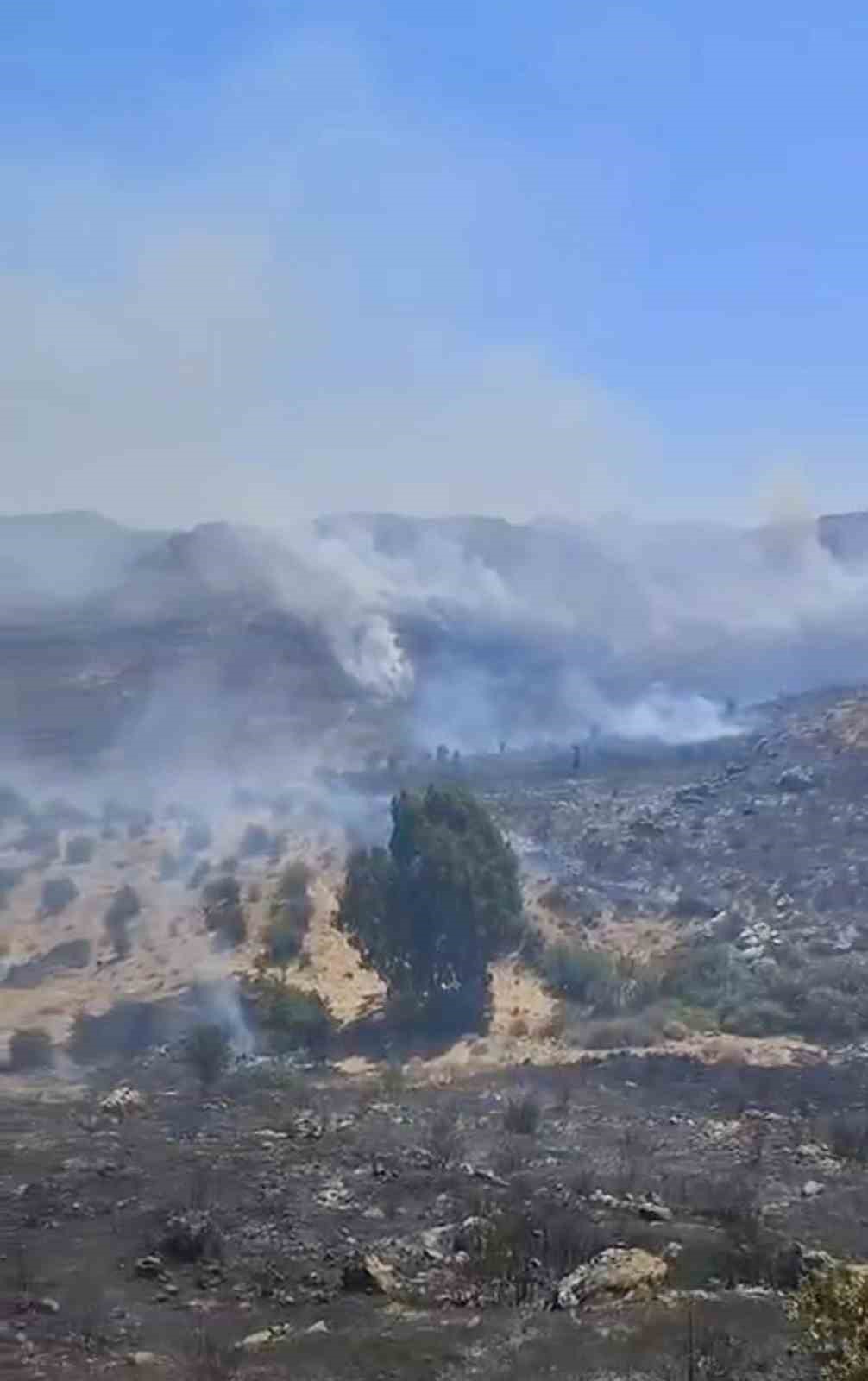 Bodrum’da otluk alanda çıkan yangın kısa sürede kontrol altına alındı
