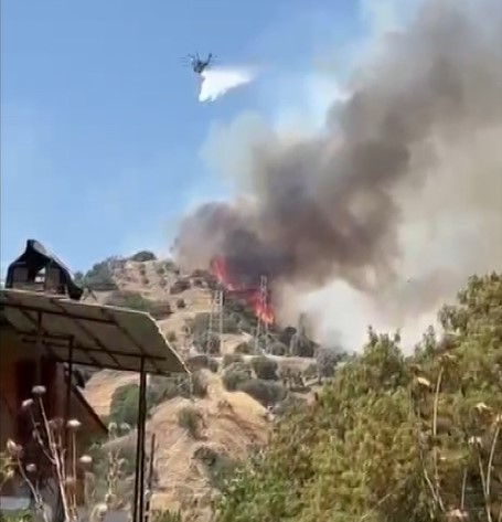 Efeler&rsquo;de zirai alan yangını
