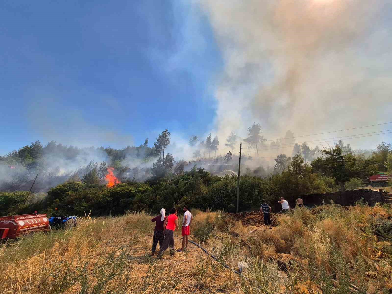 Menteşe Fadıl mahallesinde orman yangını