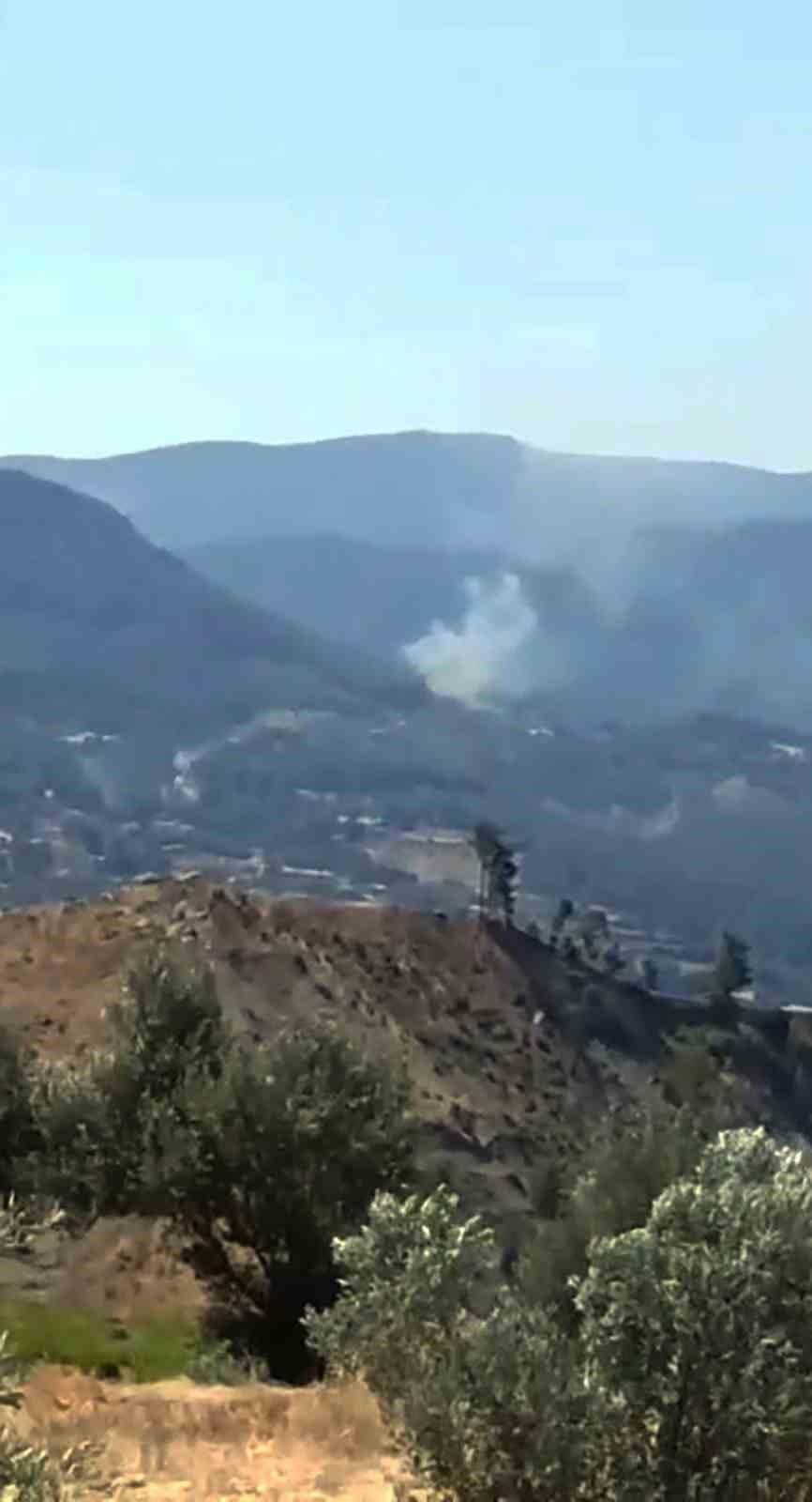 Menteşe Fadıl mahallesinde orman yangını
