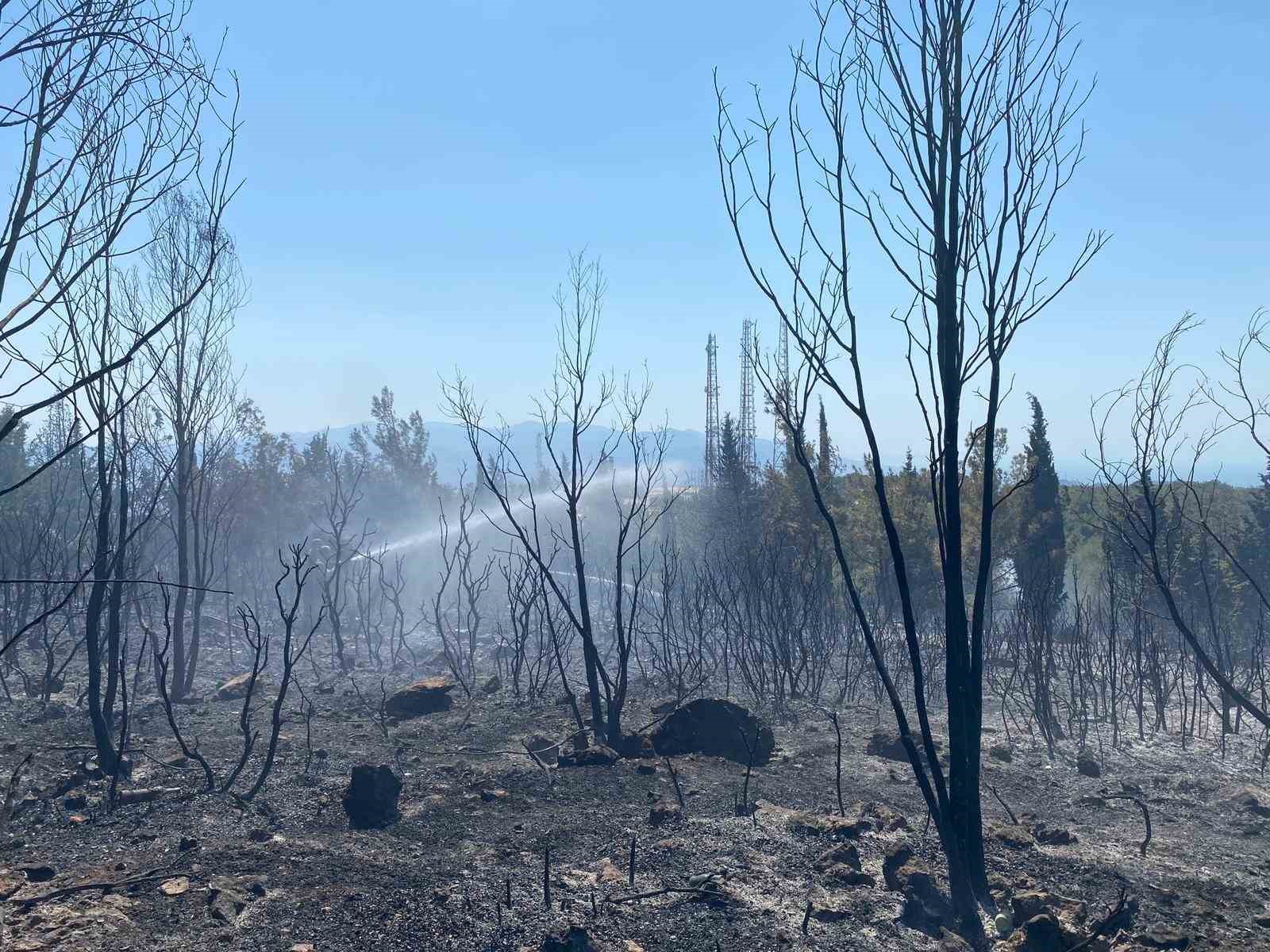 Buca&rsquo;daki orman yangını kontrol altına alındı
