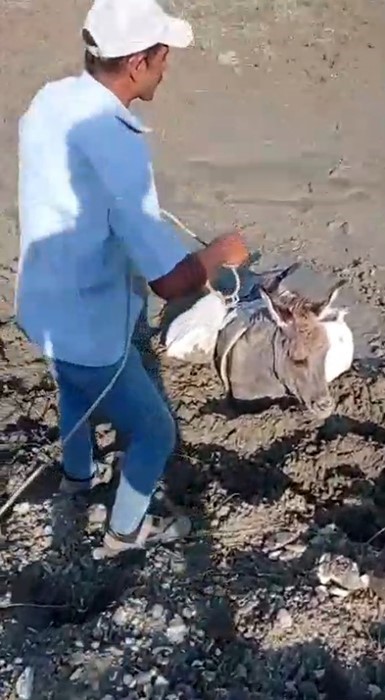 Kars’ta çamura saplanan eşek kurtarıldı