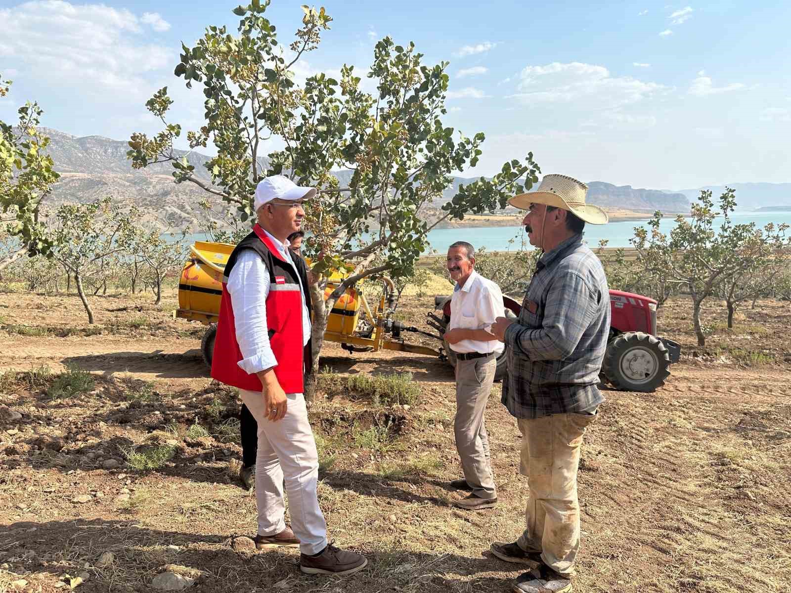 Siirt’te fıstık bahçelerinde aşırı sıcaklık alarmı