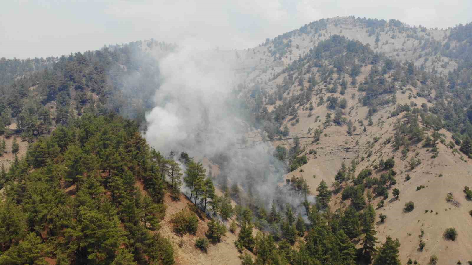 Kahramanmaraş’ta orman yangınına müdahale sürüyor