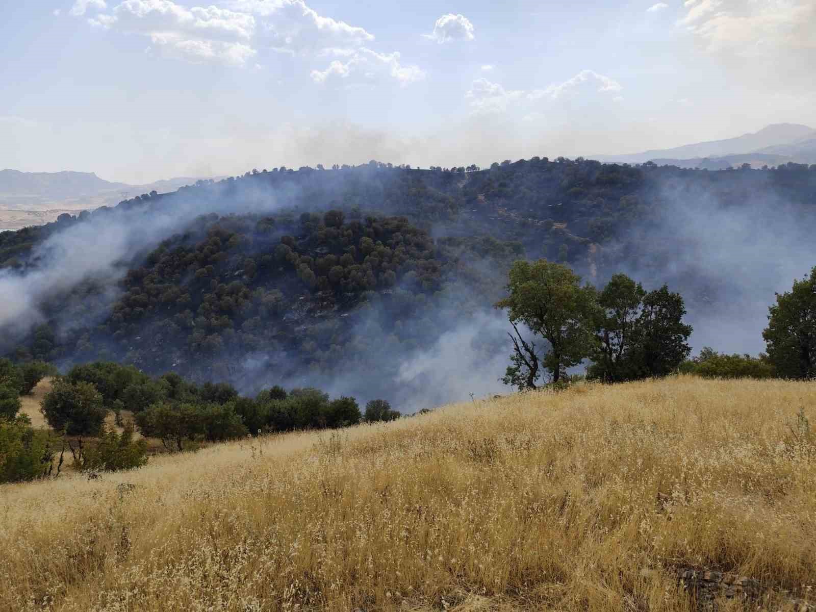 Gerger&rsquo;de orman yangını: Alevler yerleşim alanlarına yaklaştı
