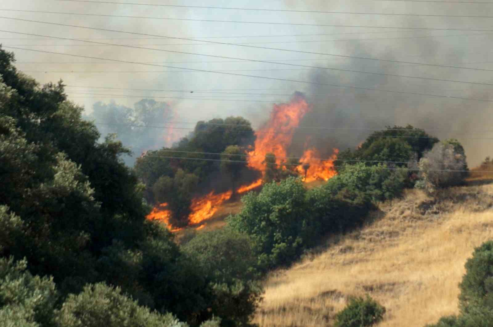 Zirai alanda başlayan yangın ormana sıçradı müdahale devam ediyor