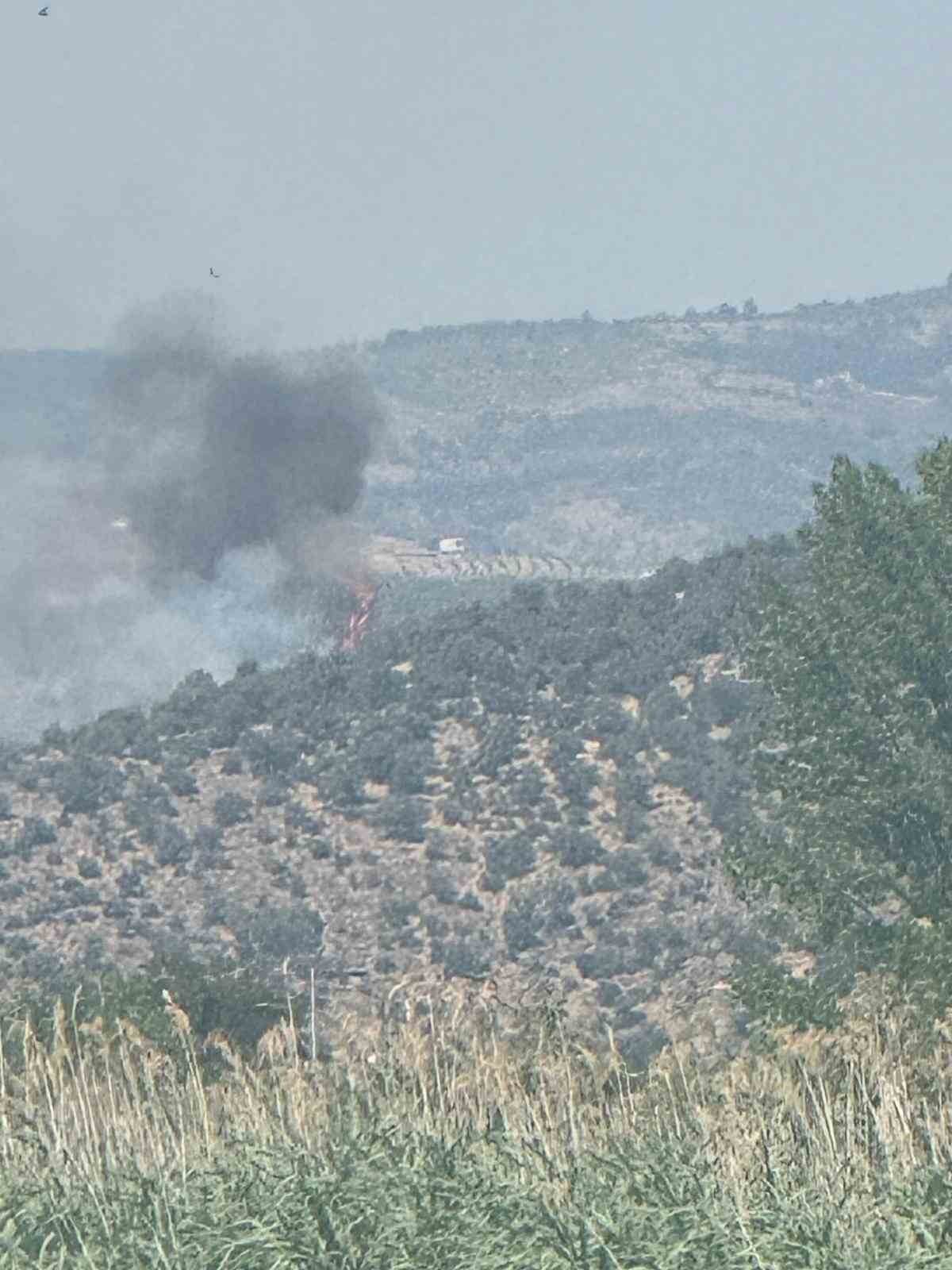 İznik&rsquo;te &ccedil;ıkan yangın kontrol altına alındı
