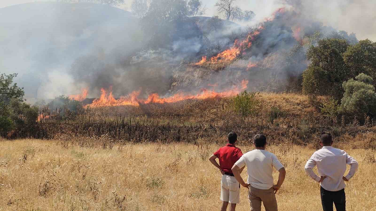 Nazilli’de zirai alanda çıkan yangın kontrol altına alındı