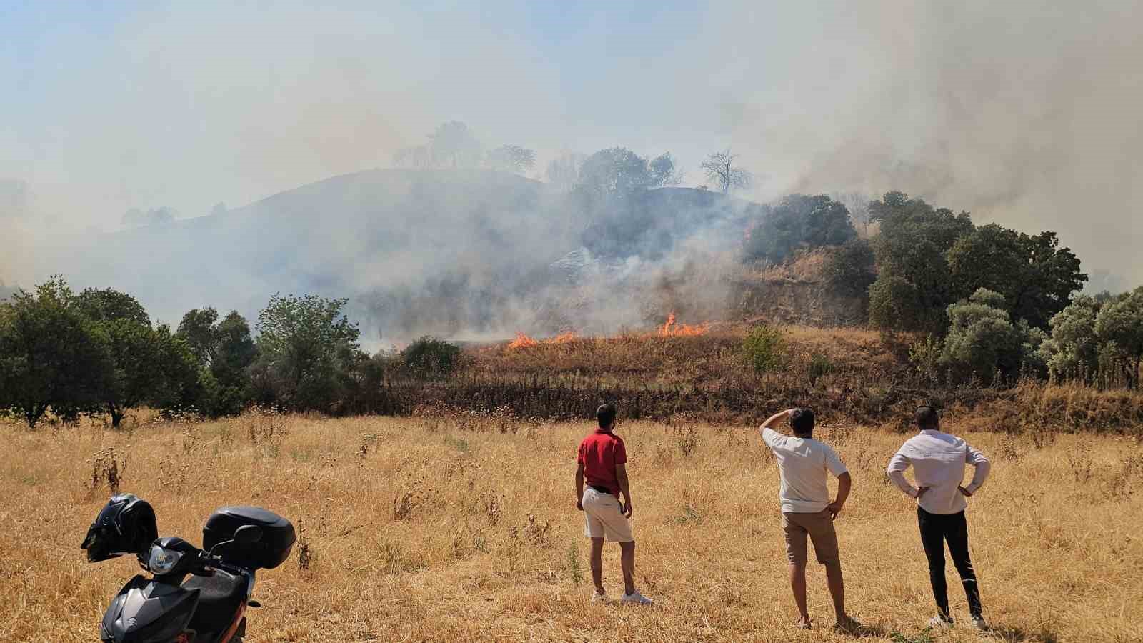 Nazilli&rsquo;de zirai alanda &ccedil;ıkan yangın kontrol altına alındı
