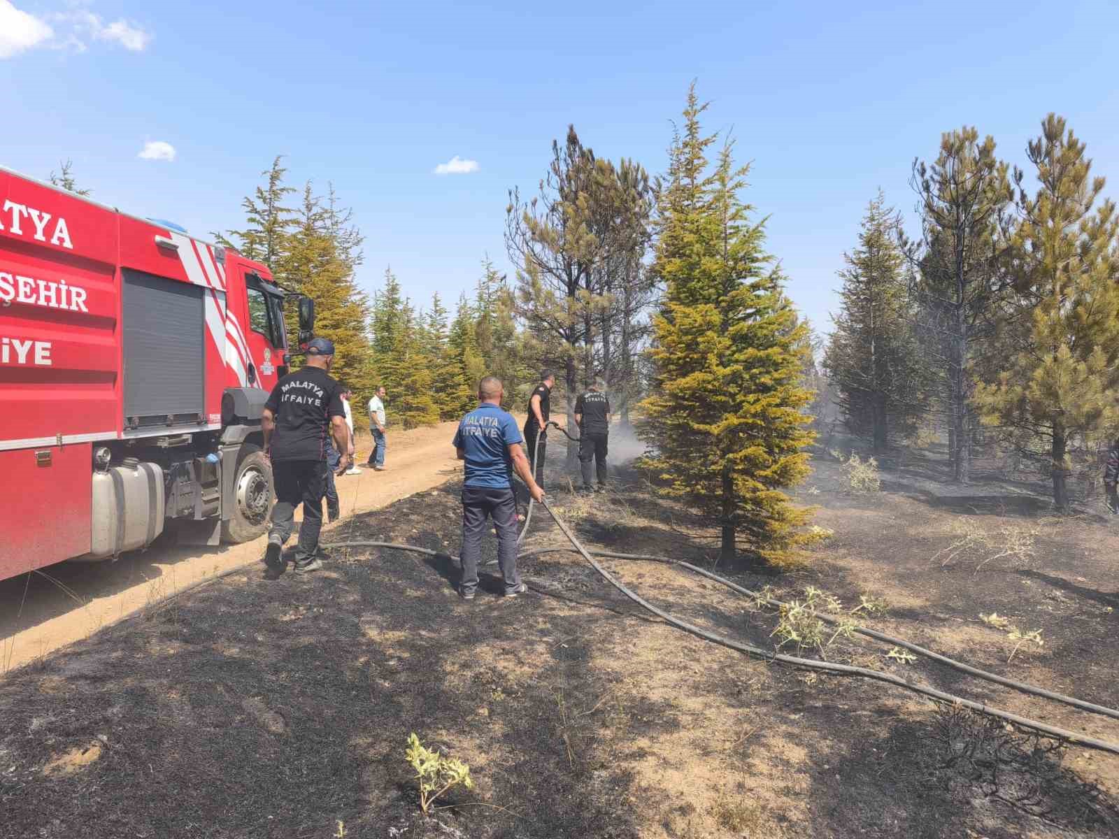 Malatya’daki orman yangını söndürüldü