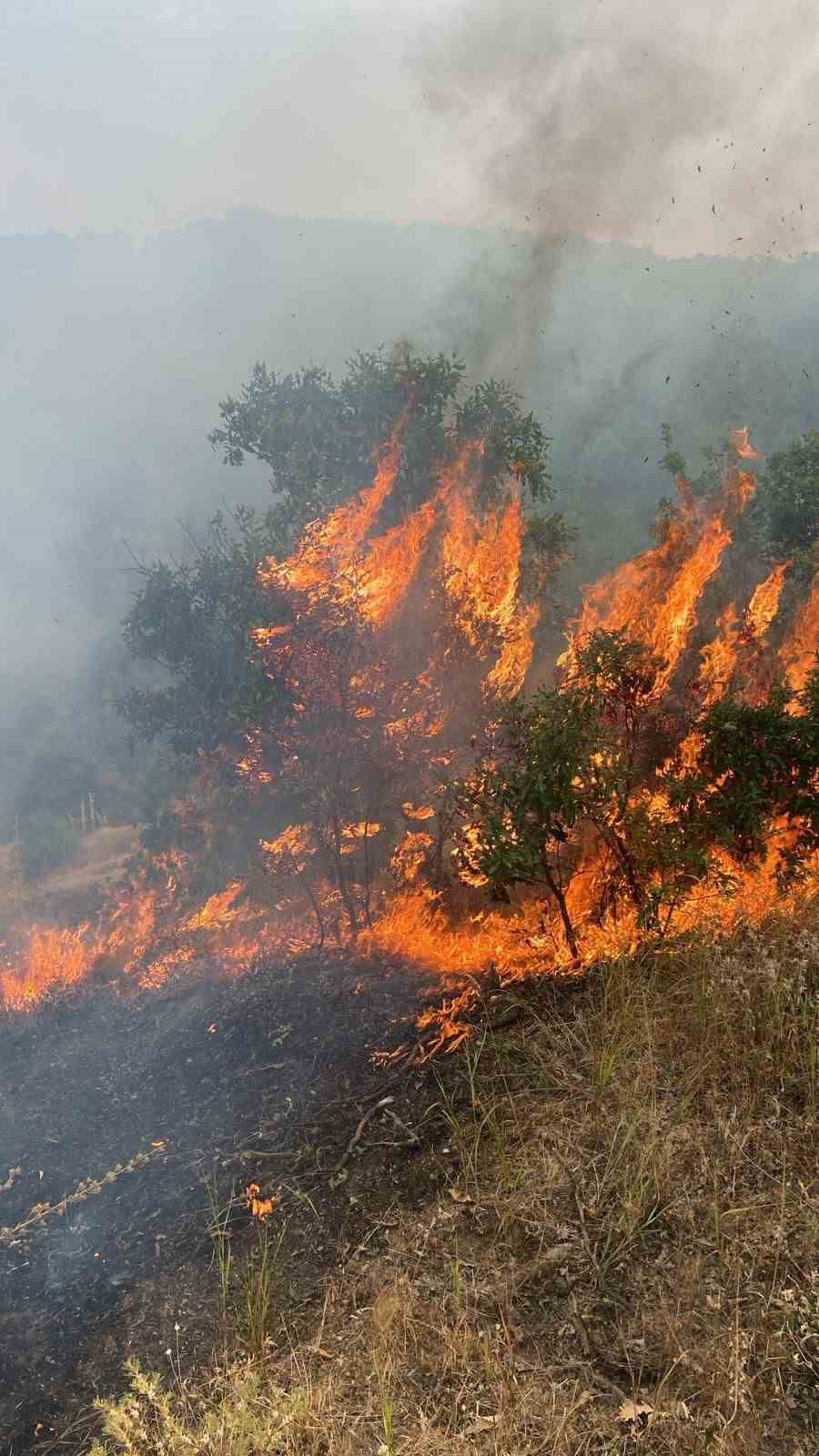 Bing&ouml;l&rsquo;deki orman yangını kontrol altına alındı
