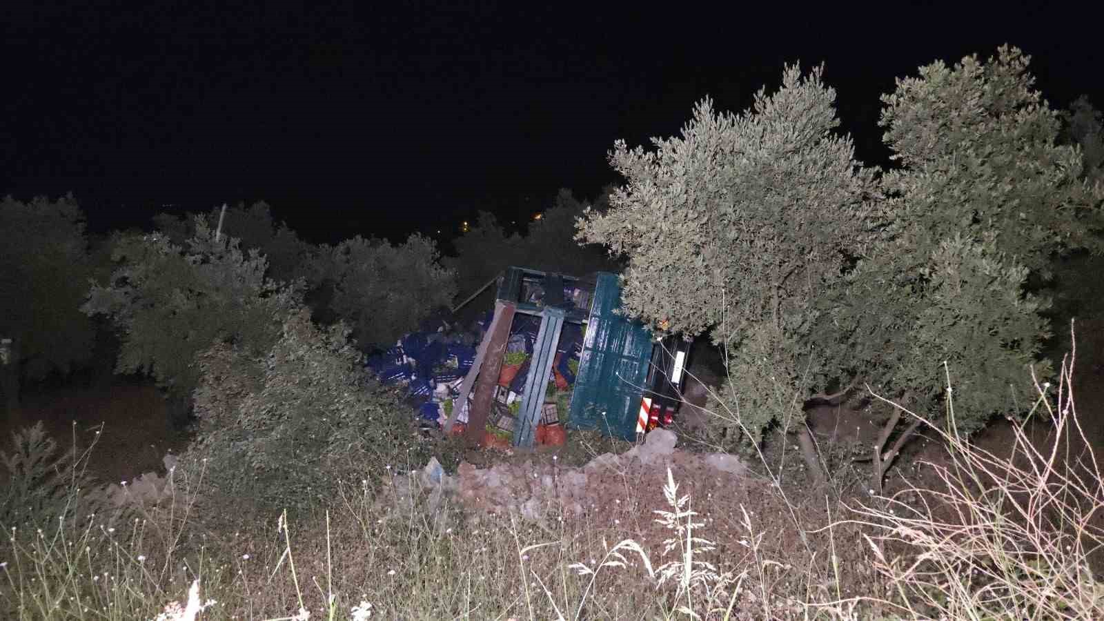 Biber yüklü kamyon zeytinliğe uçtu: 1 yaralı