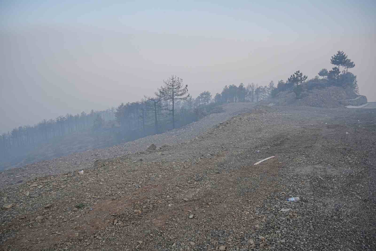 Bursa&rsquo;daki orman yangını 3. gününde... Gökyüzünü kaplayan duman bulutundan göz gözü görmüyor