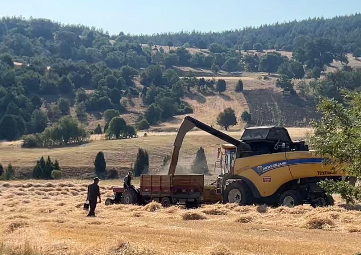Tavşanlı’da çiftçiler emeklerinin karşılığını almanın heyecanını yaşıyor