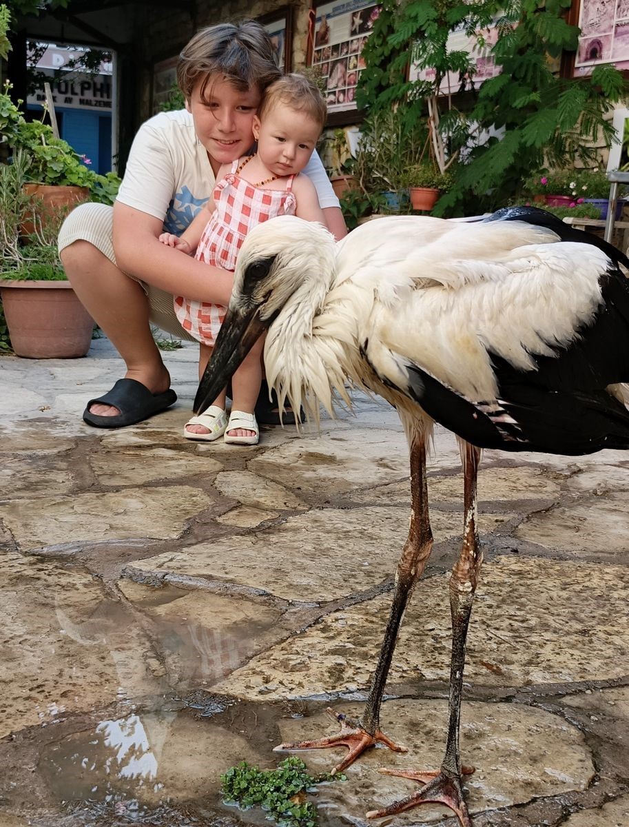 Yavru leyleği kurtarıp, deniz kaplumbağası yumurtalarını koruma altına aldılar
