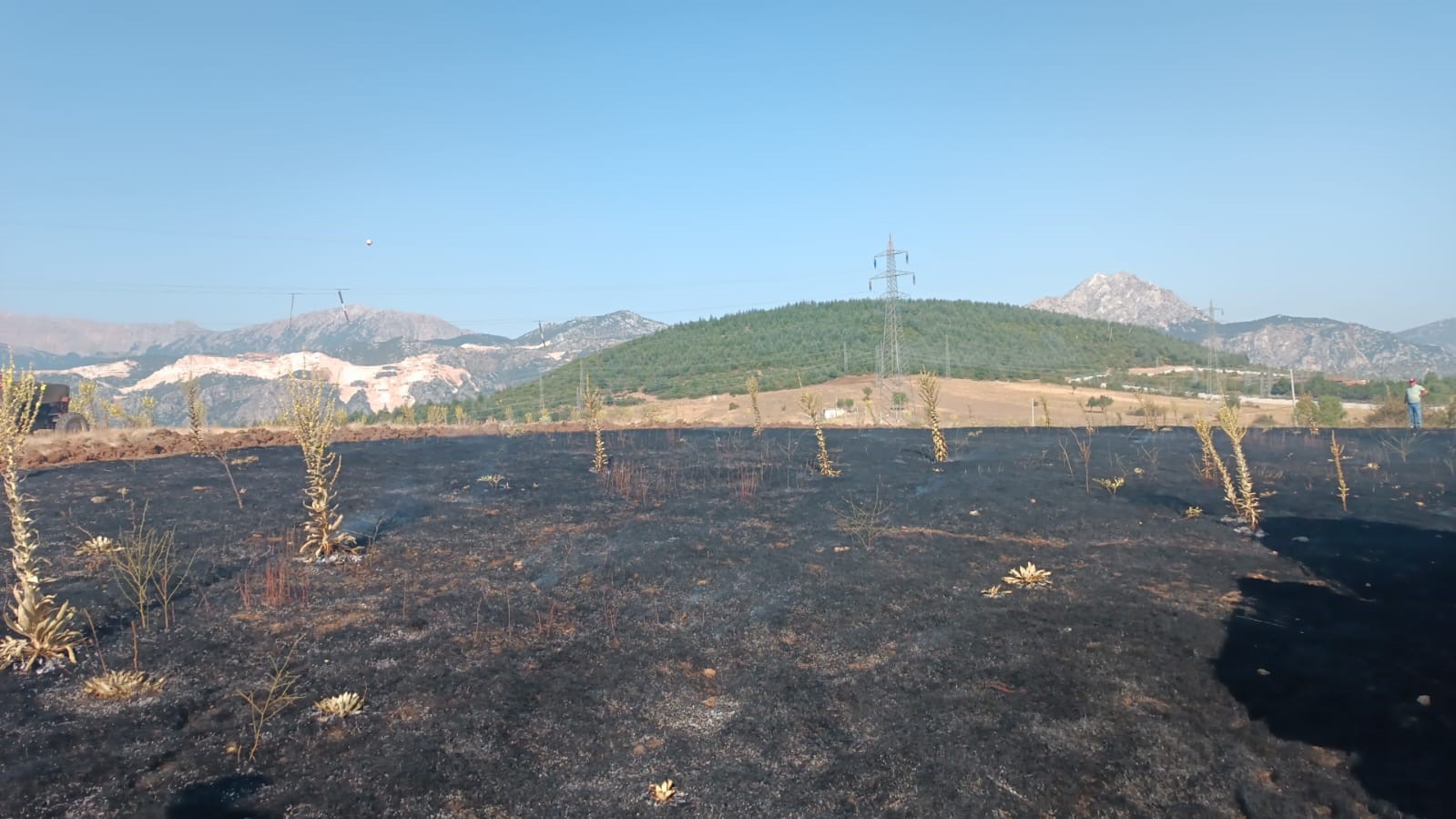 Yüksek gerilim hattına çarpan karga, 2 dönüm alanı kül etti
