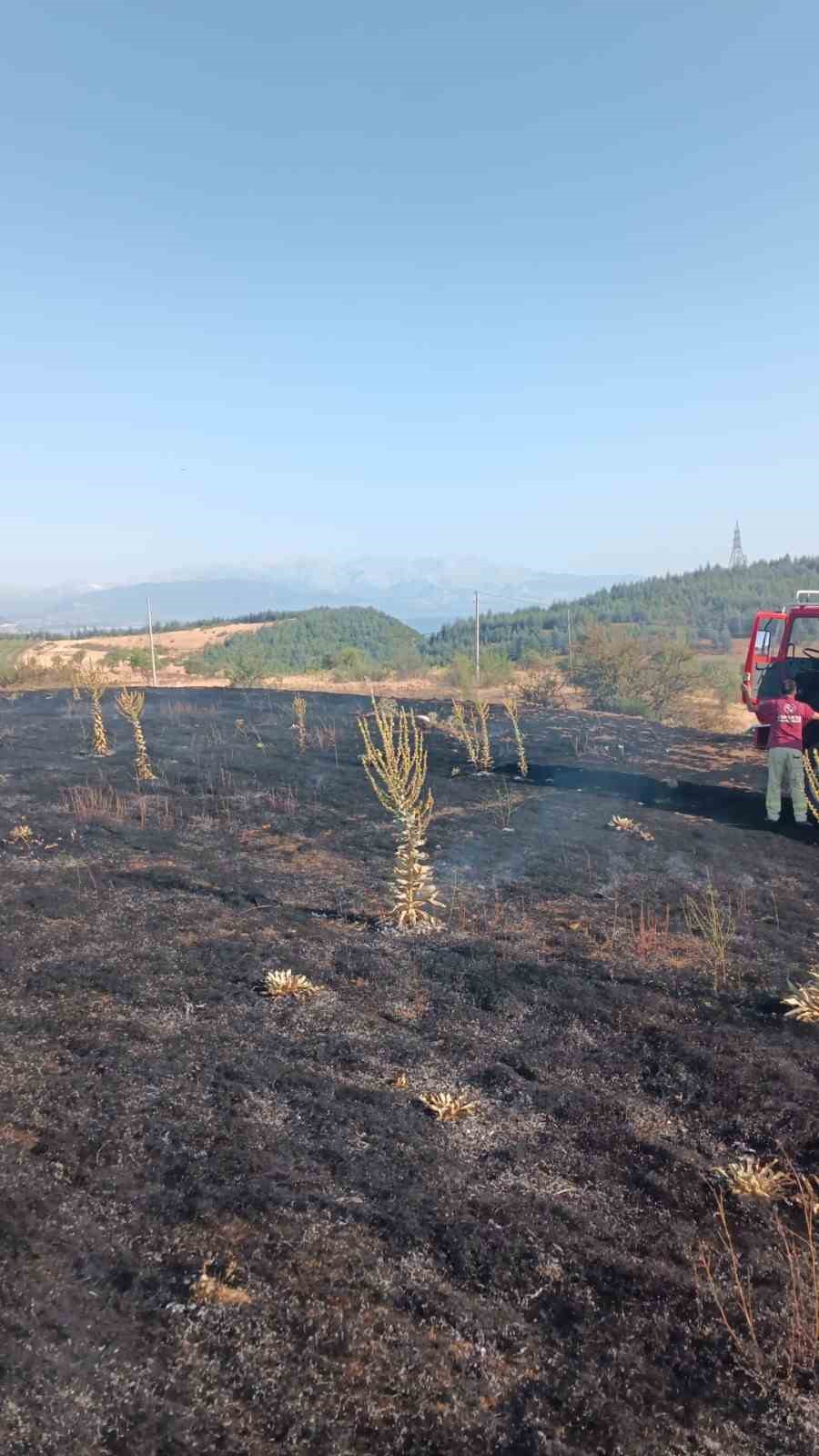 Yüksek gerilim hattına çarpan karga, 2 dönüm alanı kül etti
