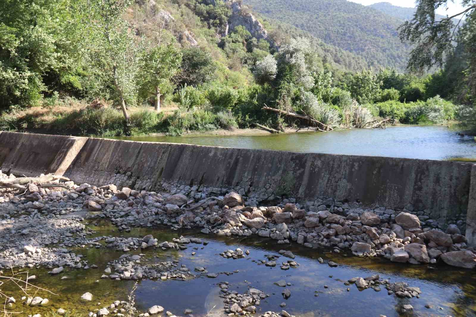 Kuraklık ve orman yangınları Düzmeşe Benti’nin adeta kuruttu