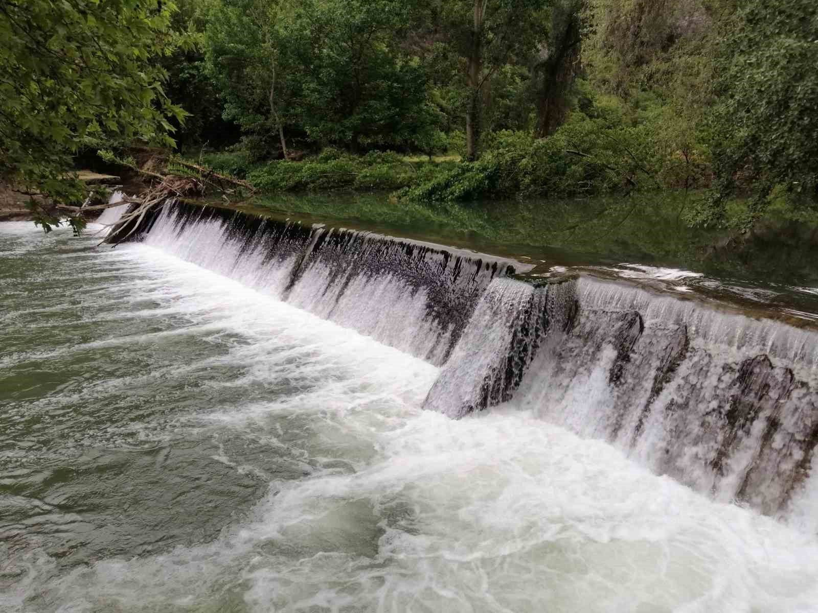 Kuraklık ve orman yangınları D&uuml;zmeşe Benti&rsquo;nin adeta kuruttu
