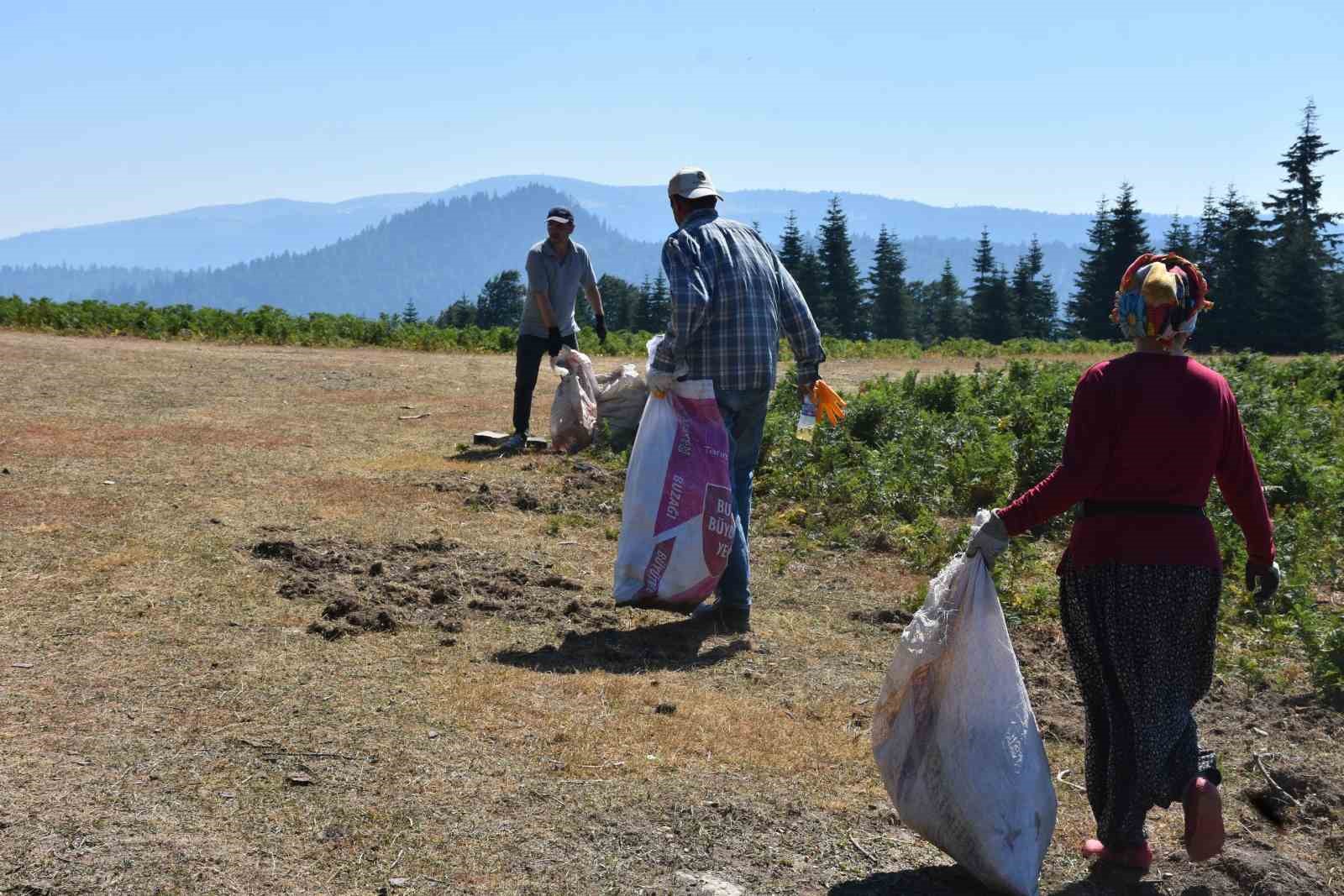 Sakarya’da yangınlar sonrası temizlik: Ormandan çıkanlar şaşırttı