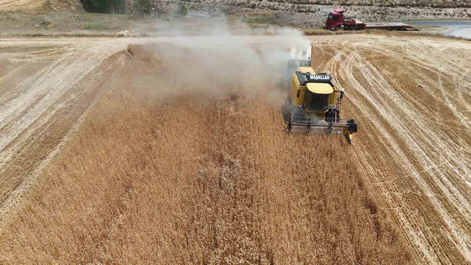 Bitlis’te buğday ve arpada rekor gelir