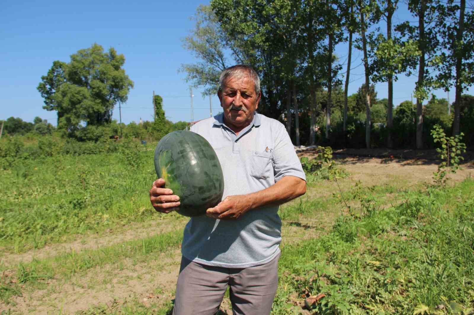 Baldan tatlı Süheyla kavunu yüz güldürdü
