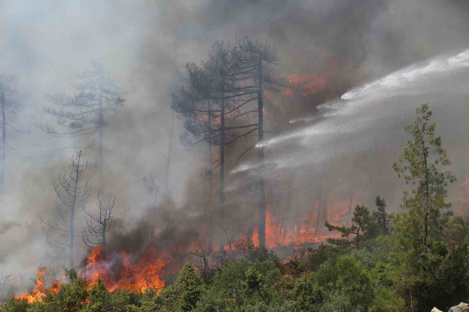 Bursa&rsquo;da alevler tekrar yükseldi
