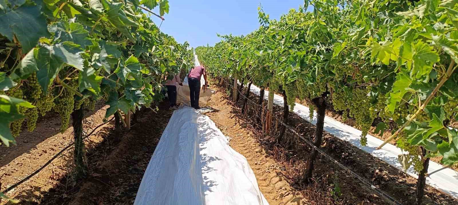 Örtücülerin kavurucu sıcaklarla zorlu mesaisi