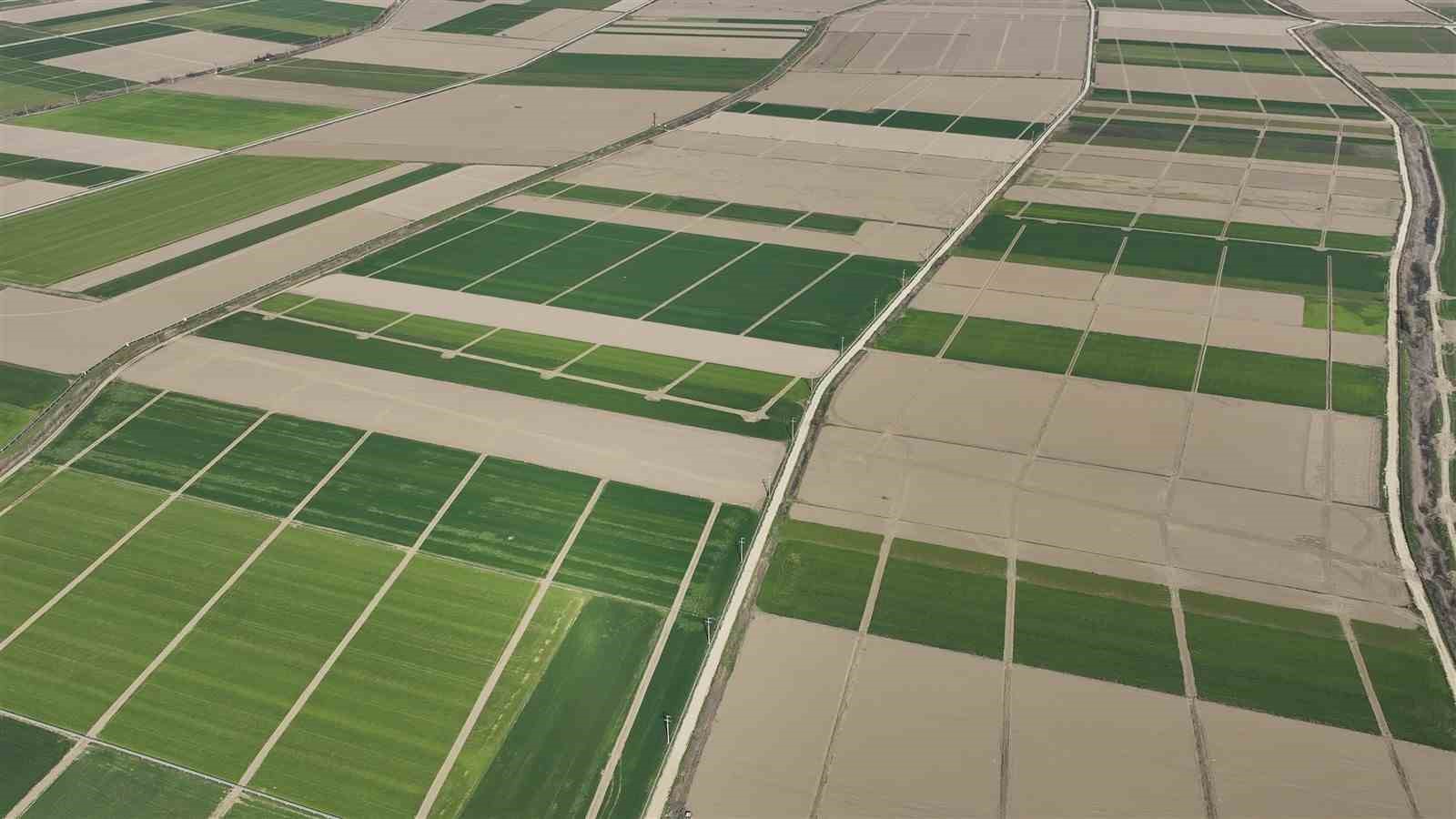 Aydın&rsquo;ın 6 il&ccedil;esi i&ccedil;in &ccedil;alışmalar başladı
