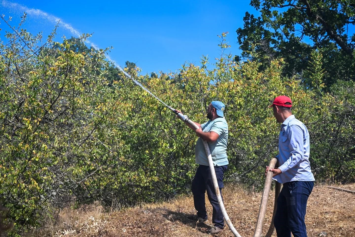 Kırklareli’nde ormanlık alana sıçrayan yangın söndürüldü
