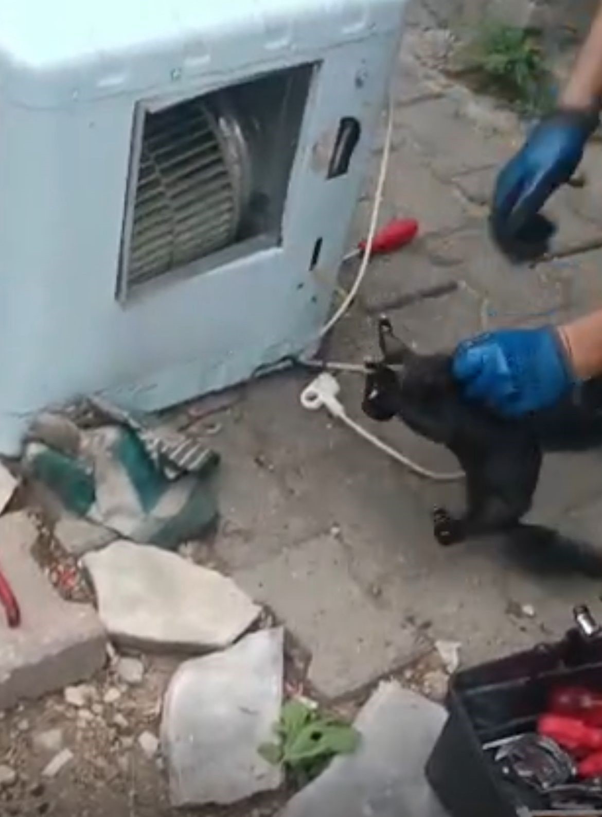 Klimanın motoruna sıkışan kedi i&ccedil;in ekipler seferber oldu
