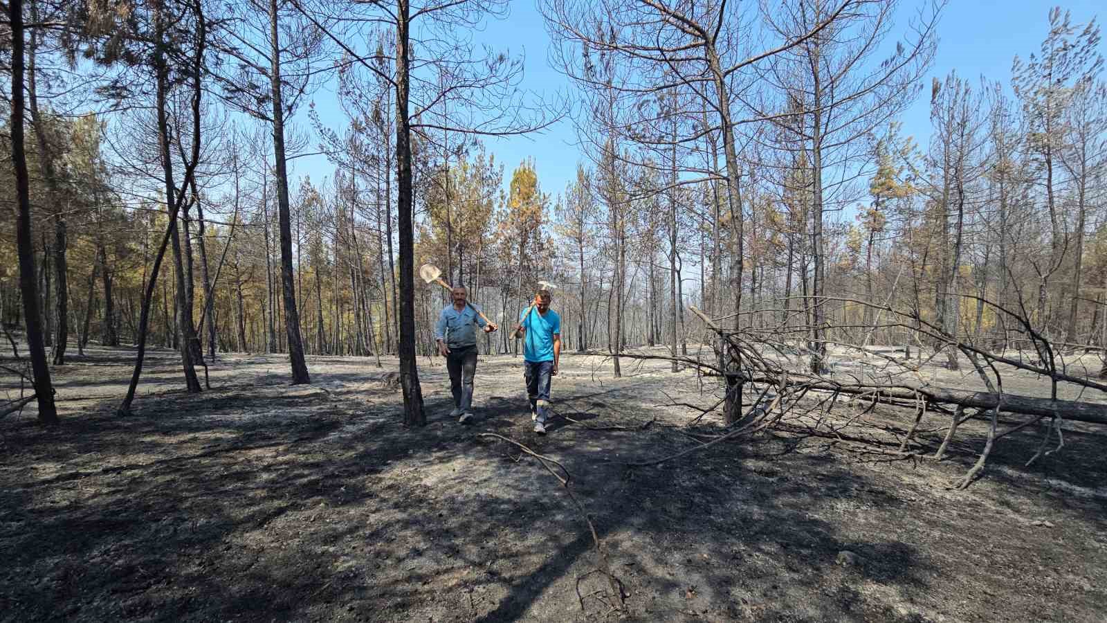 Karab&uuml;k&rsquo;teki orman yangınında 120. saate giriliyor
