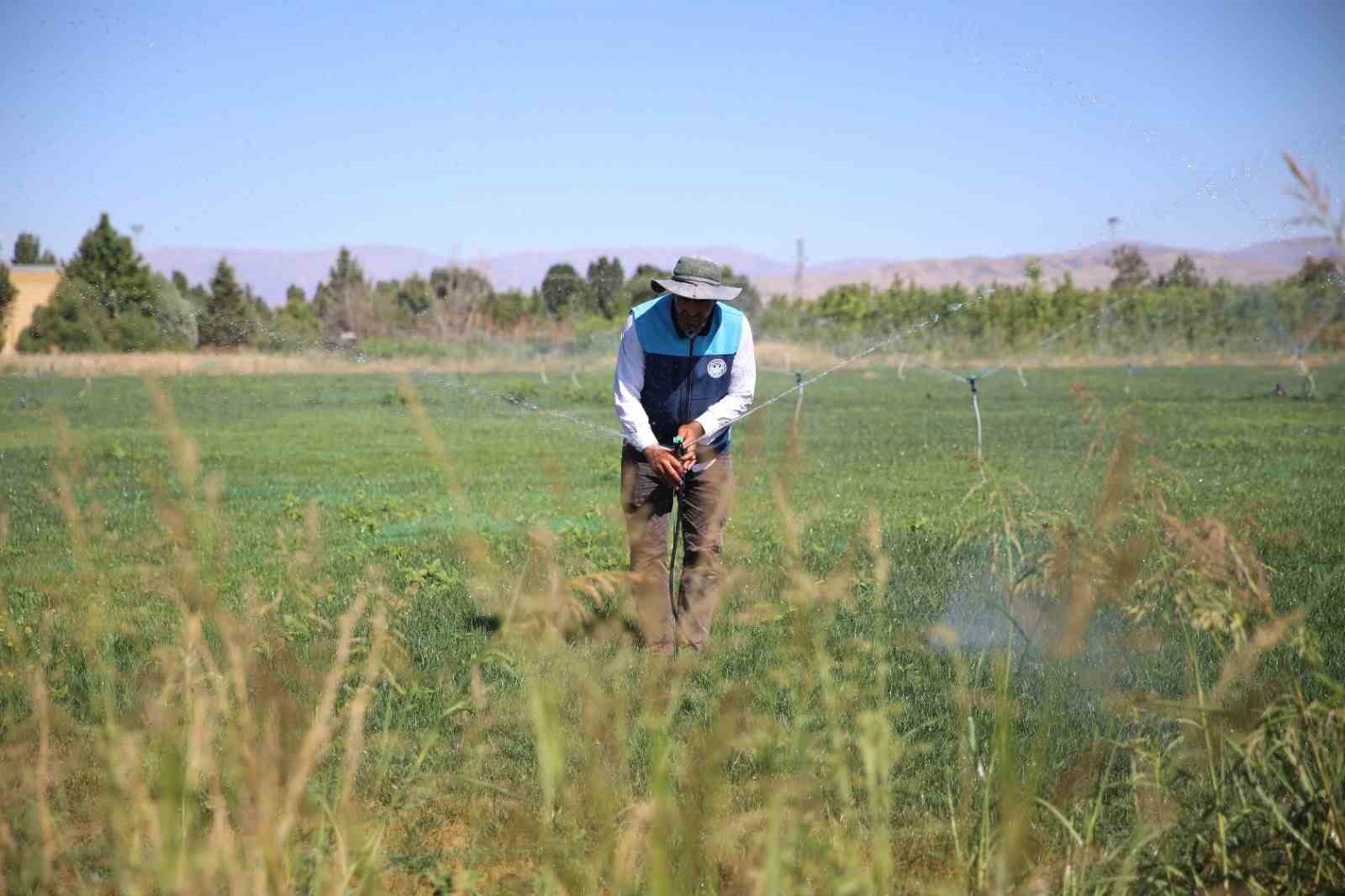 Battalgazi&rsquo;de yerli &uuml;retimle yeşil alan seferberliği
