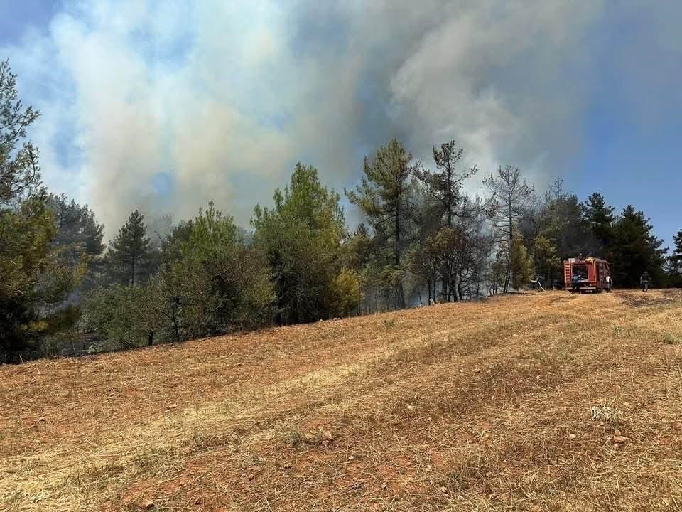 Denizli’de saman basma makinasından başlayan yangın kısa sürede kontrol altına alındı
