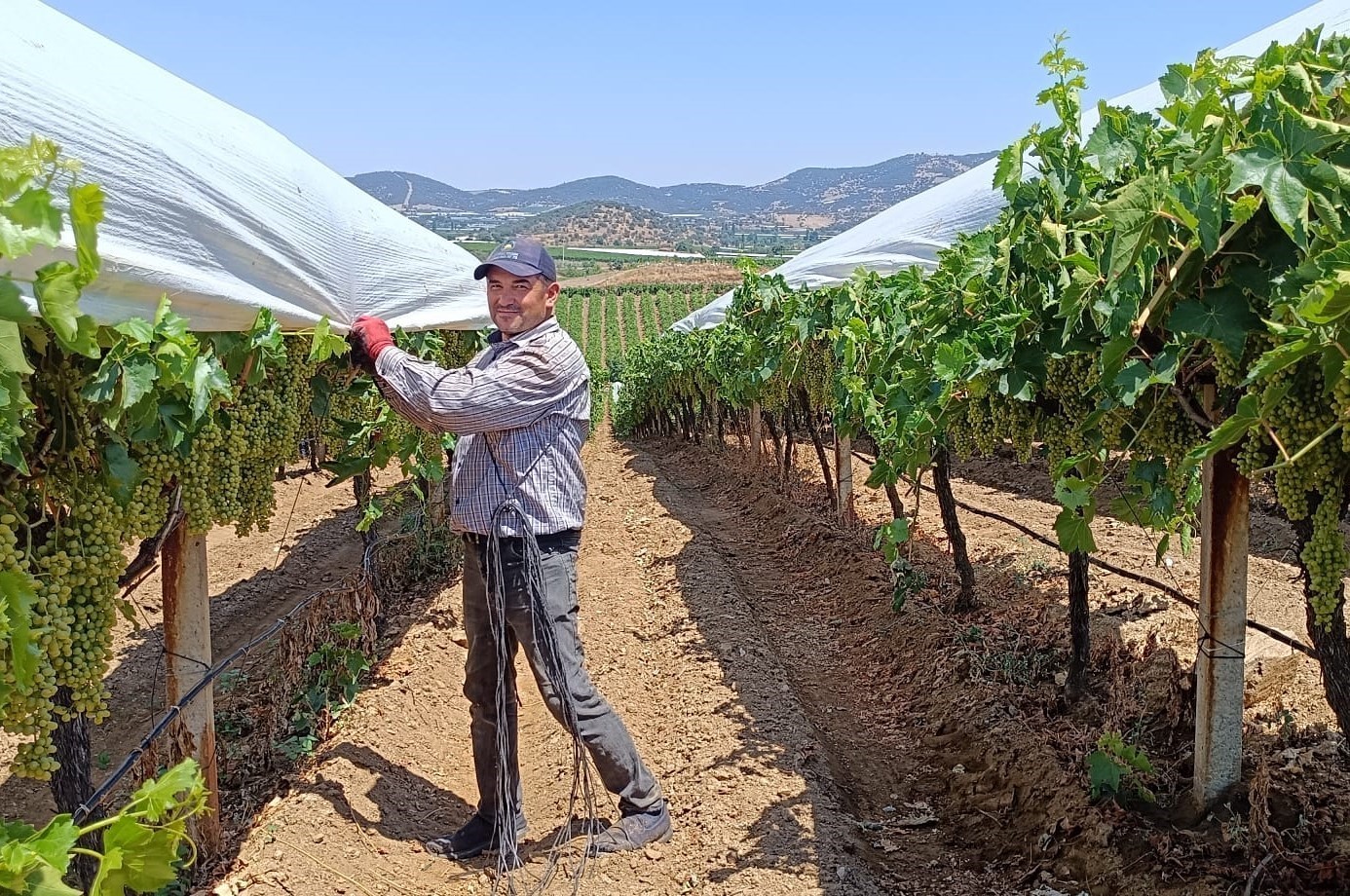 Örtücülerin kavurucu sıcaklarla zorlu mesaisi