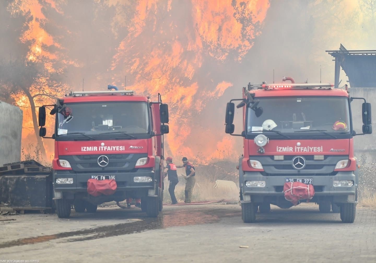 Bornova’da orman yangınını söndürme çalışmaları devam ediyor