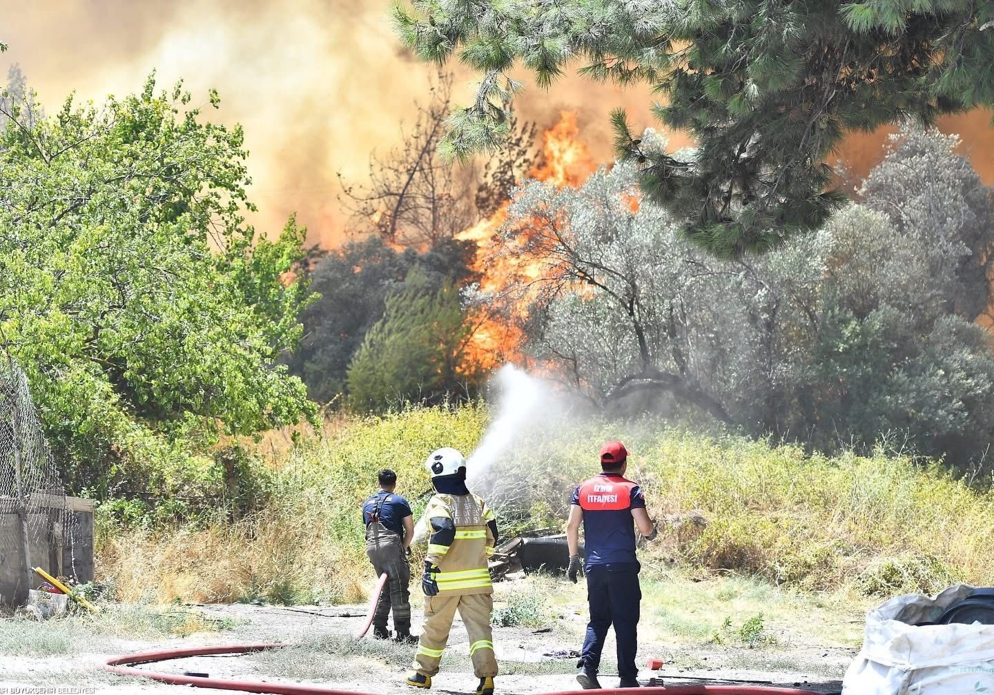 Bornova&rsquo;da orman yangınını s&ouml;nd&uuml;rme &ccedil;alışmaları devam ediyor
