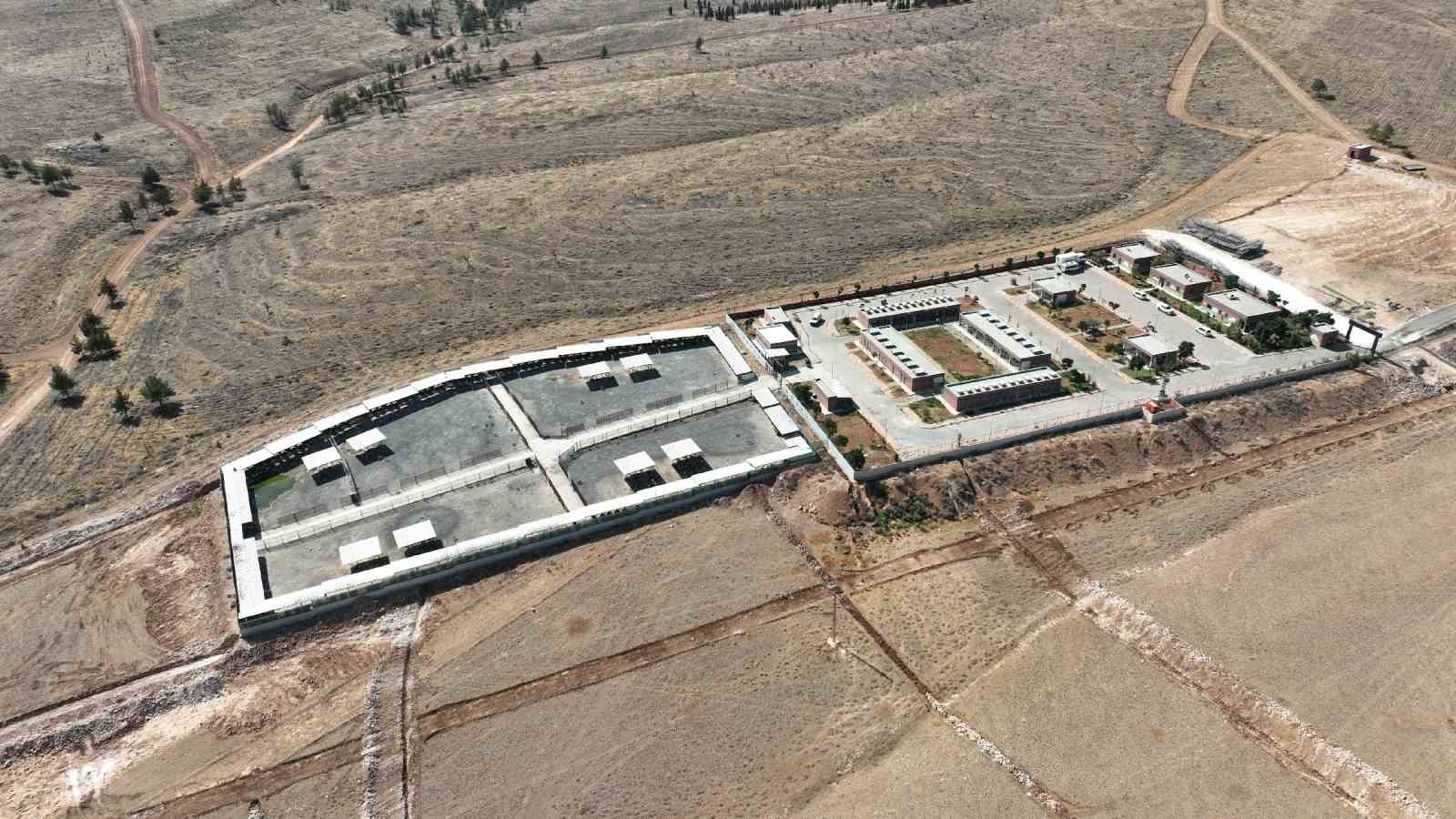 Şanlıurfa’da sokak hayvanları için doğal yaşam alanı ve kısırlaştırma seferberliği başlıyor