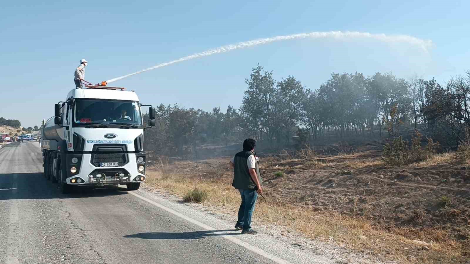 Kütahya’da çıkan orman yangını kontrol altına alındı