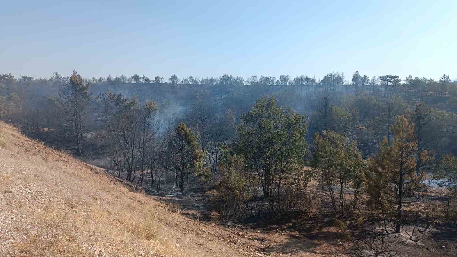 K&uuml;tahya&rsquo;da &ccedil;ıkan orman yangını kontrol altına alındı
