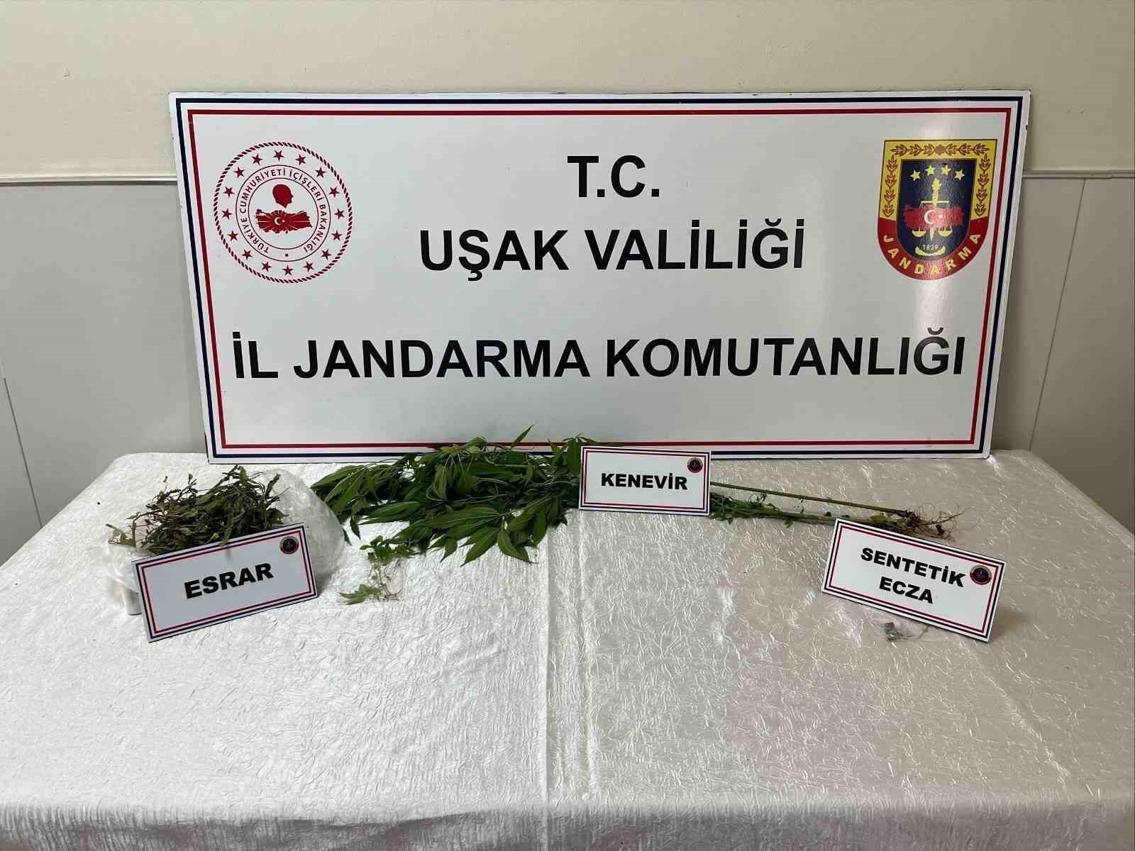 Uşak’ta jandarma ekiplerince uyuşturucu operasyonu