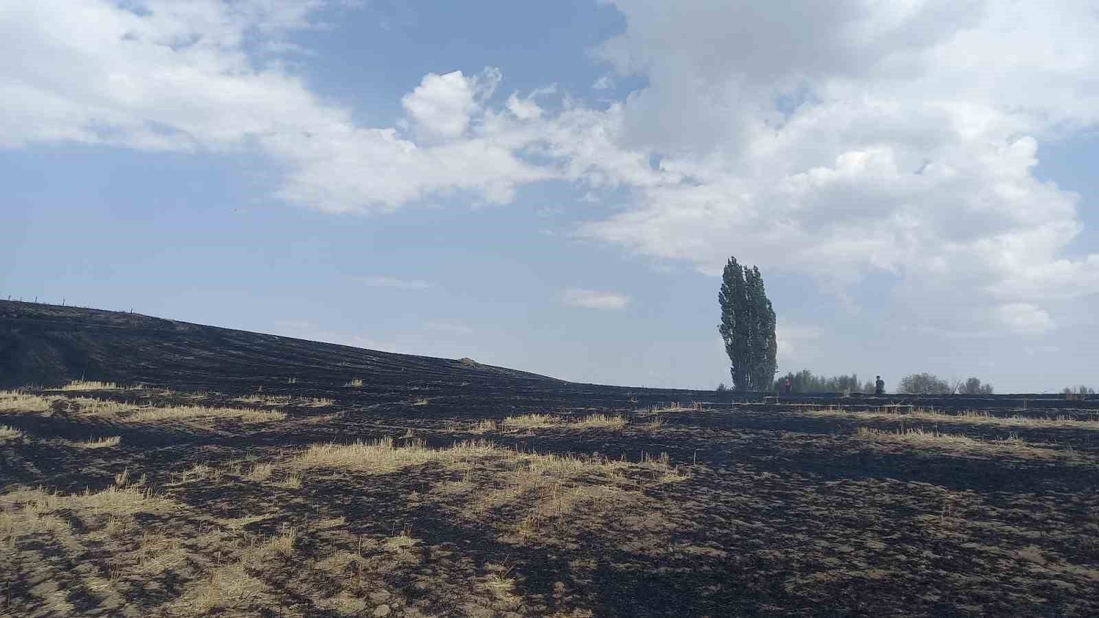ÇEDAŞ’ın arızalanan trafosu 400 dönüm araziyi küle çevirdi